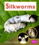 Silkworms (Library Binding)