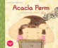 Acacia Perm：아카시아 파마