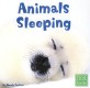 Animals Sleeping (Paperback)