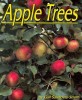 Apple Trees (Paperback)