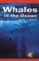 Whales in the Ocean (Paperback)