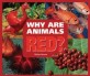 Why Are Animals Red? (Library Binding)