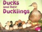 Ducks and Their Ducklings (Paperback)