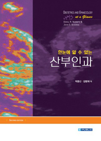 (한눈에 알 수 있는) 산부인과