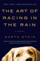 (The)Art of Racing in the Rain