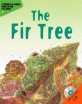 (The)fir tree