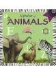 Alphabet of Animals (Paperback / Paperback+CD) (Smithsonian Alphabet Books)