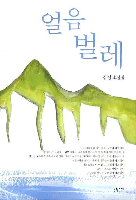 얼음 벌레 : 김경 소설집 표지 이미지