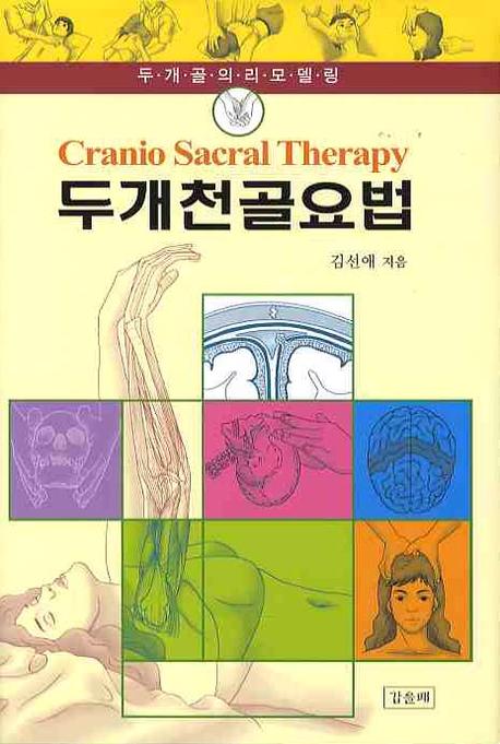 두개천골요법 : 두개골의 리모델링 표지 이미지