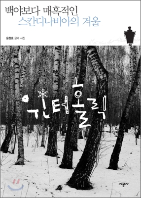 윈터 홀릭 = Winter Holic : 백야보다 매혹적인 스칸디나비아의 겨울