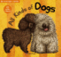 All Kinds of Dogs 표지 이미지