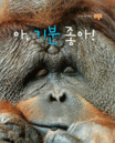 아, 기분 좋아! 표지 이미지