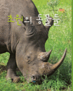 초원의 동물들 표지 이미지