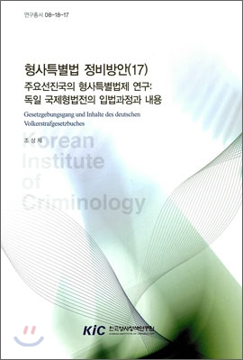 형사특별법 정비방안(17) : 주요선진국의 형사특별법제연구:독일 국제형법전의 입법과정과 내용 : Gesetzgebungsgang und Inhalte des deutschen Volkerstrafgesetzbuches