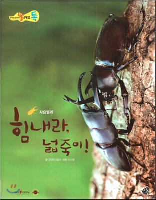 힘내라, 넓죽이! : 곤충-사슴벌레 