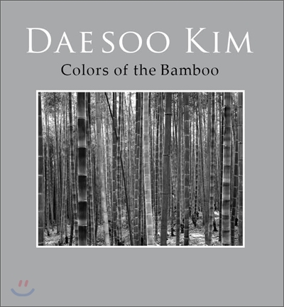 컬러 오브 뱀부 = Colors of the bamboo : Daesoo Kim 