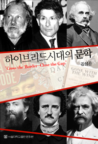 하이브리드 시대의 문학  = Literature in the Age of Hybrid Cultures  : 