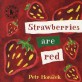STARWBERRIES ARE RED (My Little Library Set IT-21)