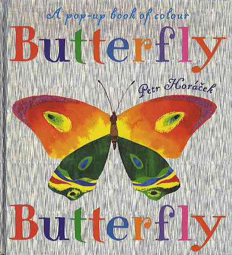 Butterfly Butterfly 표지 이미지