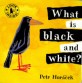 What is Black and White? (My Little Library Infant & Toddler Set 20)