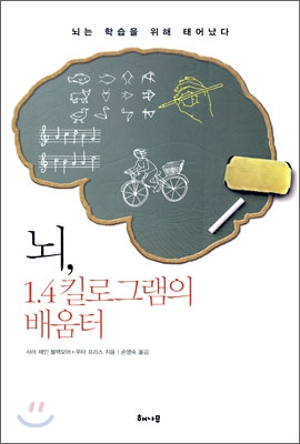 뇌, 1.4킬로그램의 배움터