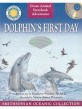 Dolphins first day
