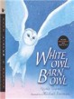 White owl barn owl