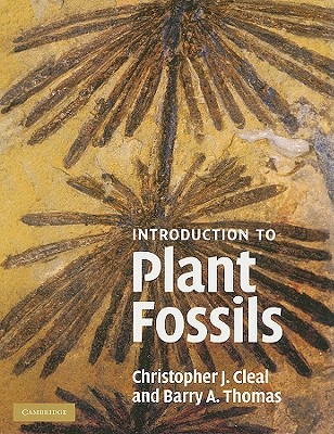 An introduction to plant fossils