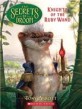 Knights of the Ruby Wand (Paperback)