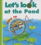 Lets look at the pond