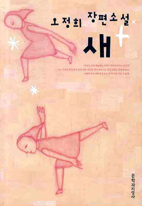 새- [전자책] : 오정희 장편소설