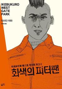 회색의 피터팬 표지 이미지