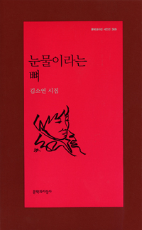 눈물이라는 뼈 : 김소연 시집