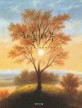 하늘 나무 :그림으로 보는 자연의 경이로움 