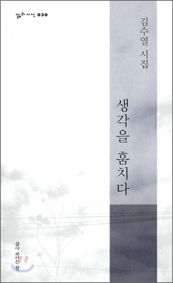 생각을 훔치다 : 김수열 시집 표지이미지