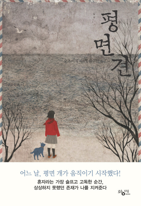 평면견