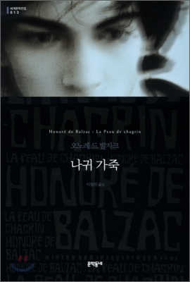 나귀 가죽 (양장)