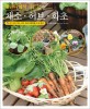 (베란다에서 기르는) 채소·허브·화초 : 인기 있는 채소 허브 화초 28종류를 이 한 권에