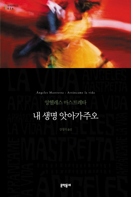 내 생명 앗아가주오 :앙헬레스 마스트레타 장편소설 