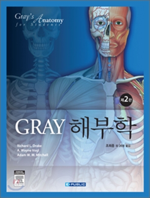 Gray 해부학