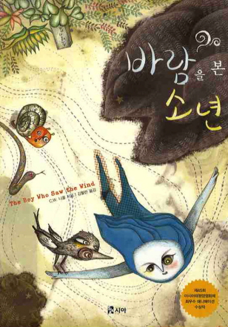 바람을 본 소년 표지이미지