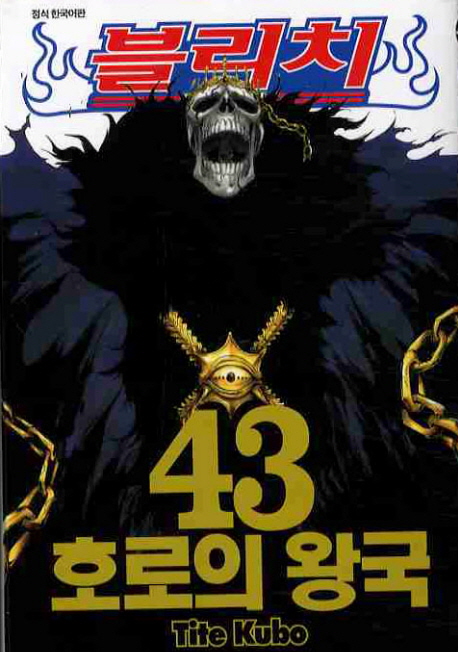 블리치 = BLEACH / 43 : 호로의 왕국 표지이미지
