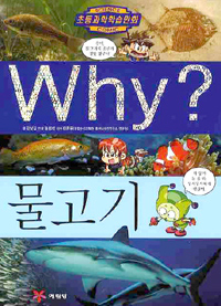 (Why?)물고기