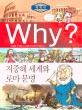 (Why? 세계사) 지중해 세계와 로마 문명 : [만화도서] 표지 이미지