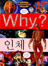 Why?인체