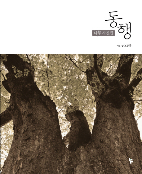 동행 : 나무 사진집 표지 이미지