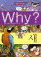 Why? 새 - 2판