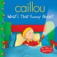 Caillou What's That Funny Noise