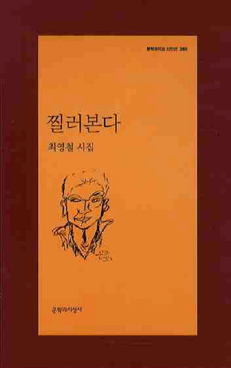 찔러본다 : 최영철 시집