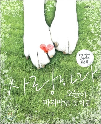 사랑하라 오늘이 마지막인 것처럼